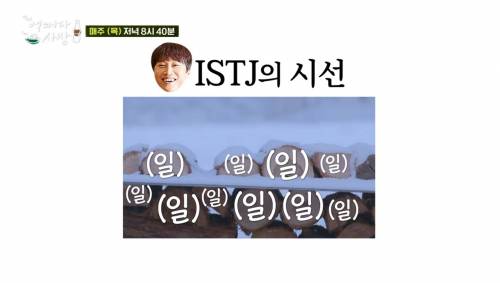 [스압] 조인성과 차태현으로 보는 MBTI ST유형과 NF유형의 차이.jpg