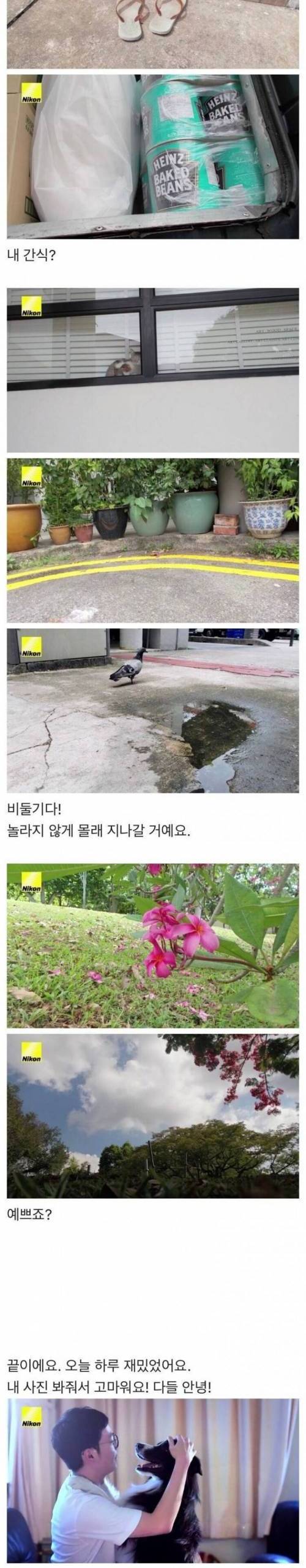 [스압] 개의 심박수가 늘어나면 찍히는 사진기.jpg