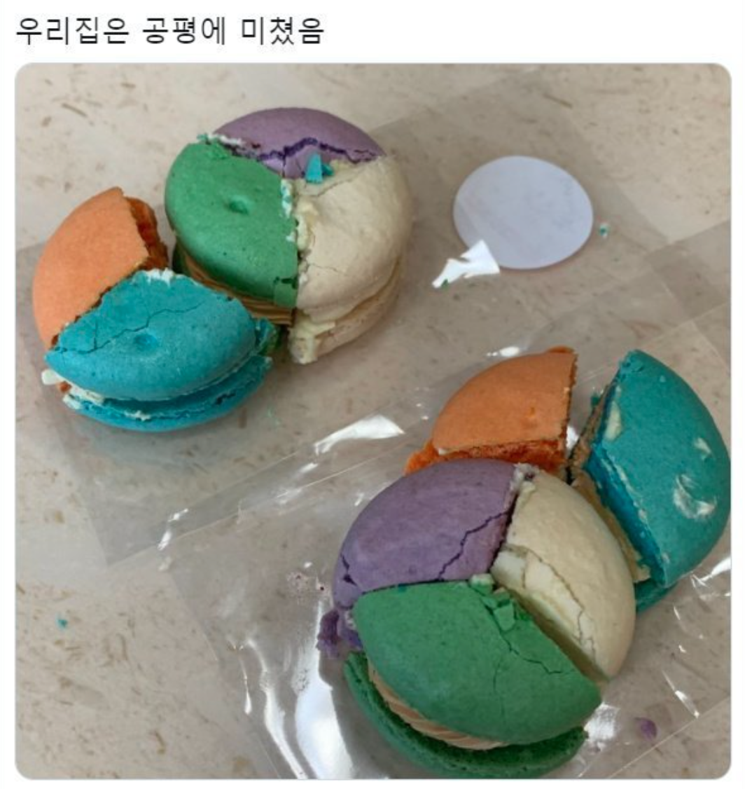 마카롱 공평하게 나눠먹는법.jpg