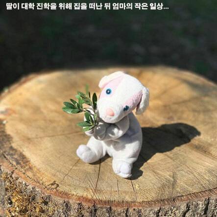 [스압] 딸이 남기고 간 봉제인형을 본 엄마.jpg