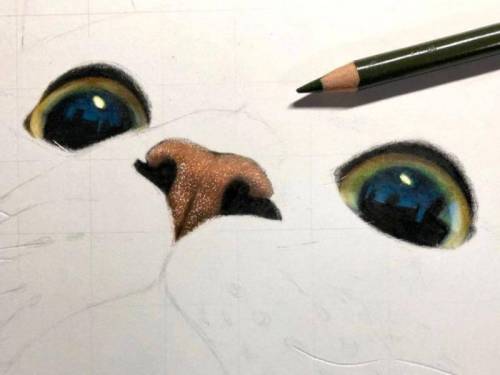 색연필로 고양이 그리는 법.jpg