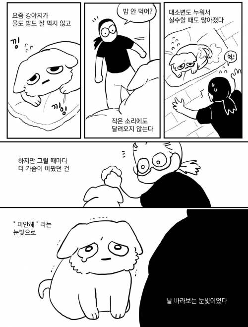 늙은 강아지.manhwa