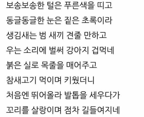 고려말, 냥줍한 백운거사 이규보가 남긴 시