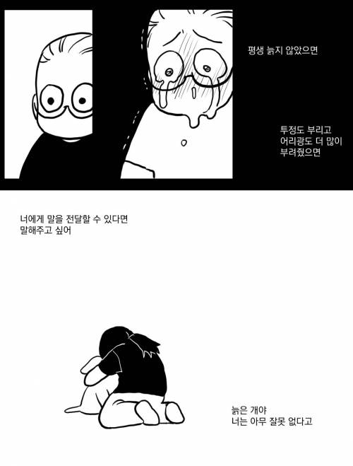 늙은 강아지.manhwa