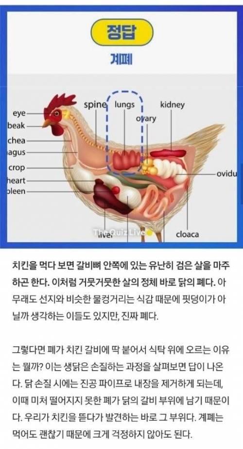 치킨 갈비뼈 사이 검은 살의 정체.jpg