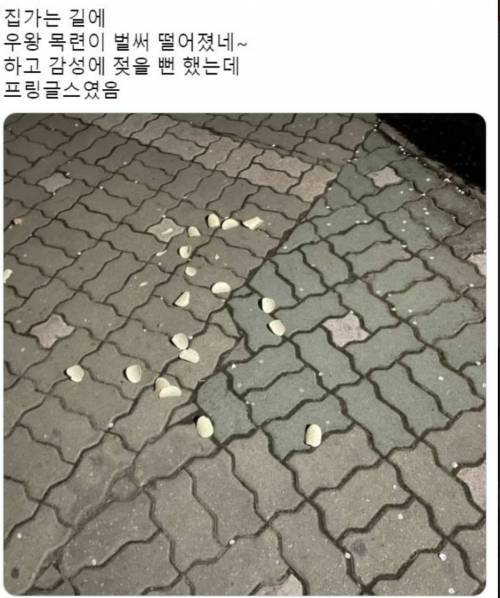 집가는길에 감성에 젖을 뻔 했는데