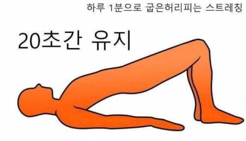 의사들이 실제로 권장하는 1분 허리 스트레칭