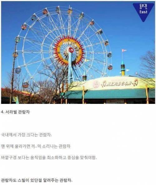 국내 면적대비 가성비 최강 놀이공원.jpg