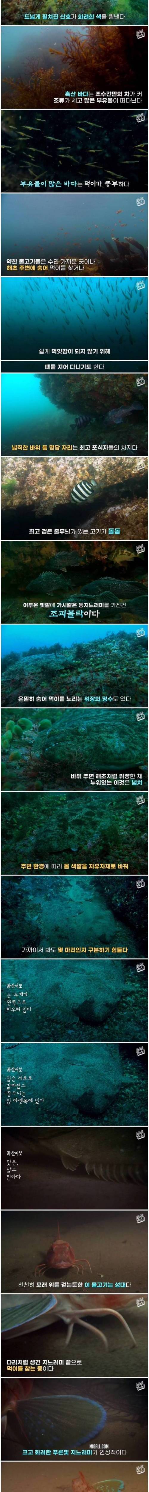 [스압] 정약전의 자산어보가 지금 봐도 놀라운 이유.jpg