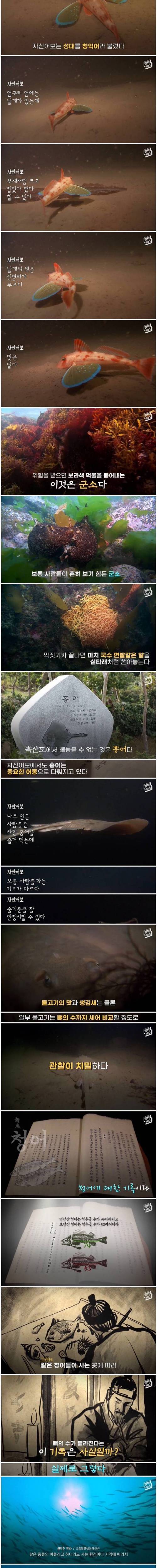 [스압] 정약전의 자산어보가 지금 봐도 놀라운 이유.jpg