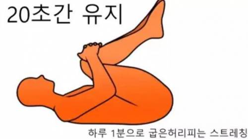 의사들이 실제로 권장하는 1분 허리 스트레칭