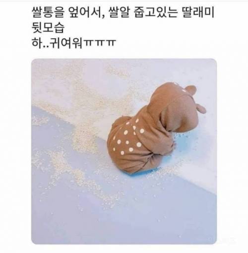 쌀통을 엎은 딸아이 뒷모습.jpg