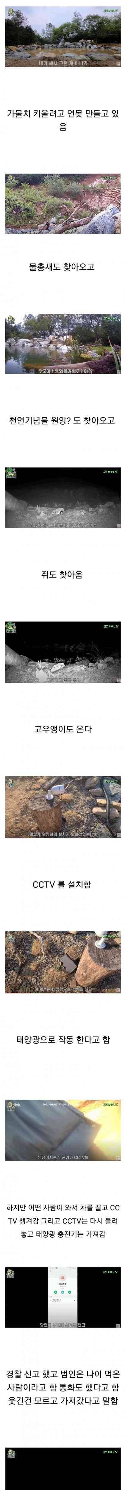 [스압] 시골 연못 만들던 유튜버.jpg