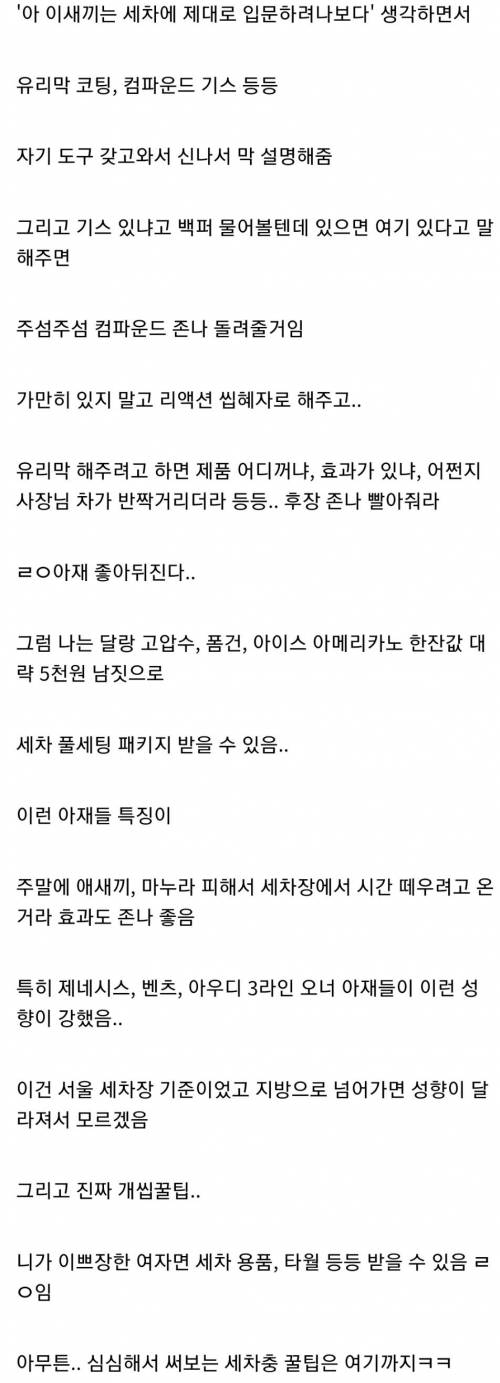 세차 꿀팁을 전수해주는 디시인.jpg