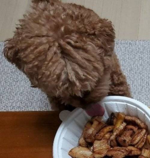 배민 리뷰 대참사.jpg