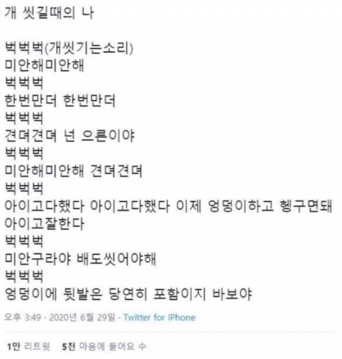 개 씻길 때 모습.jpg
