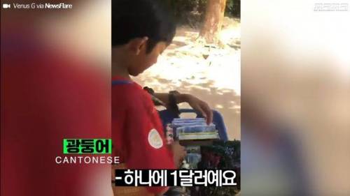 [스압] 16개 국어를 하는 캄보디아 소년.jpg