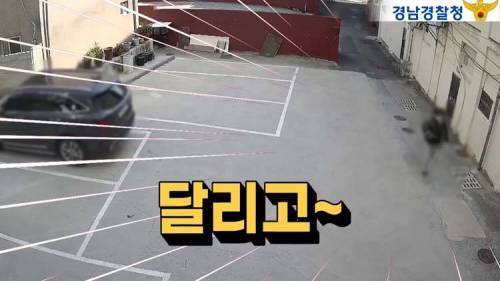 [스압] 할머니 현금을 들고 도망친 날치기범의 최후