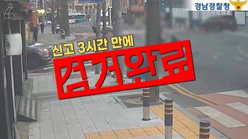 [스압] 할머니 현금을 들고 도망친 날치기범의 최후