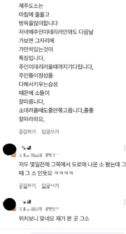 제주 당근마켓 동네생활 근황.jpg