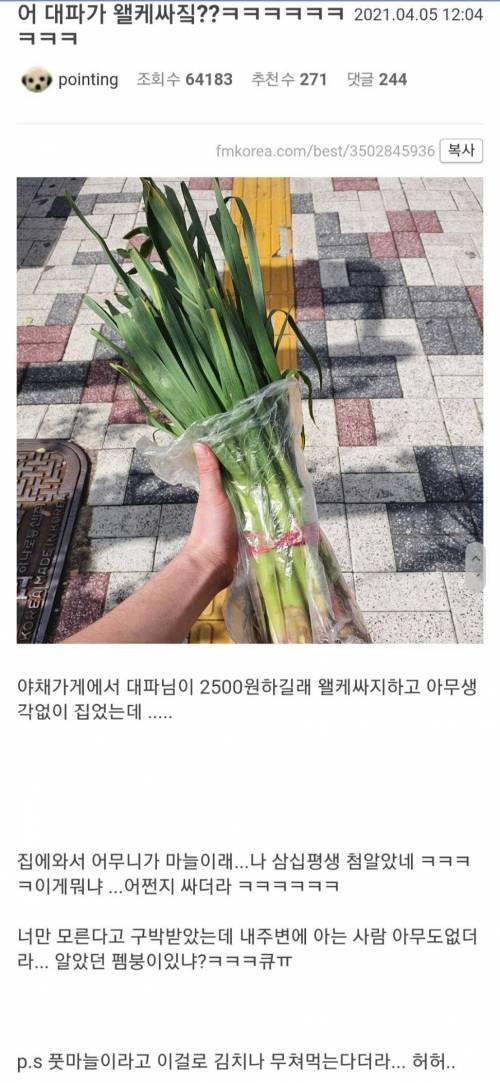 잘 구분 못하는 사람들 있다는 채소.jpg