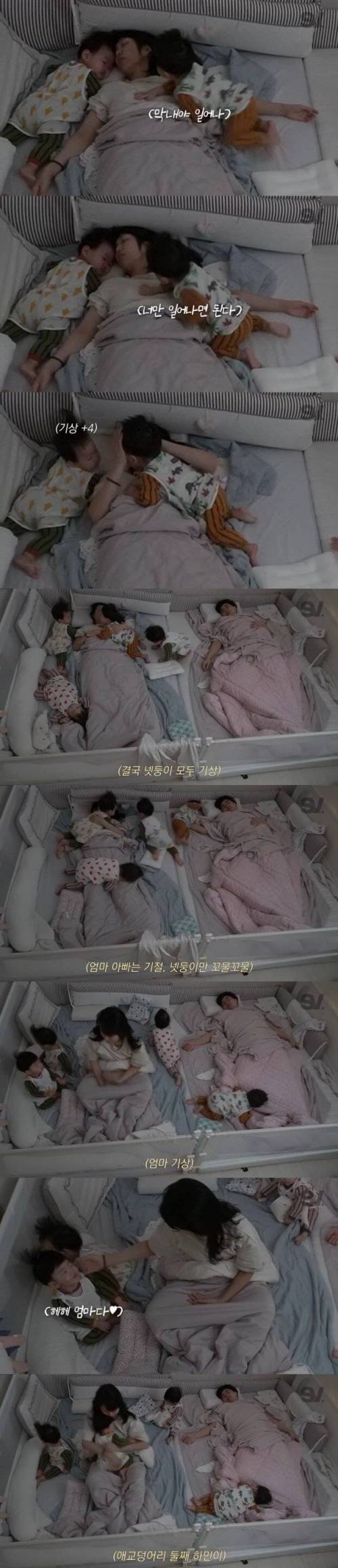 [스압] 네쌍둥이 재우기.jpg