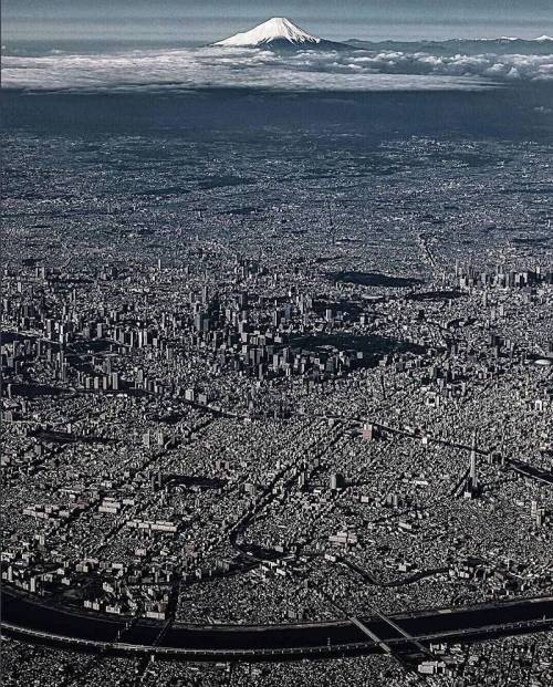 일본 도쿄의 평지 수준.jpg