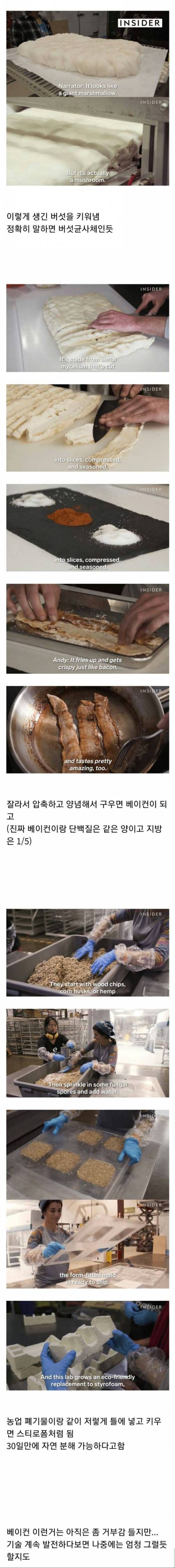 신종 버섯 개발 근황.jpg