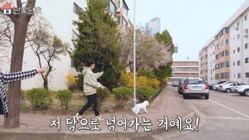 합법적(?)으로 담 넘은 딘딘.jpg
