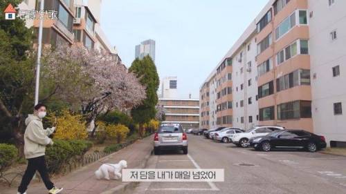 합법적(?)으로 담 넘은 딘딘.jpg