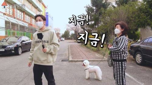 합법적(?)으로 담 넘은 딘딘.jpg