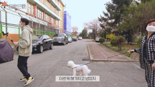 합법적(?)으로 담 넘은 딘딘.jpg