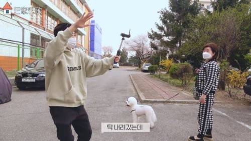합법적(?)으로 담 넘은 딘딘.jpg