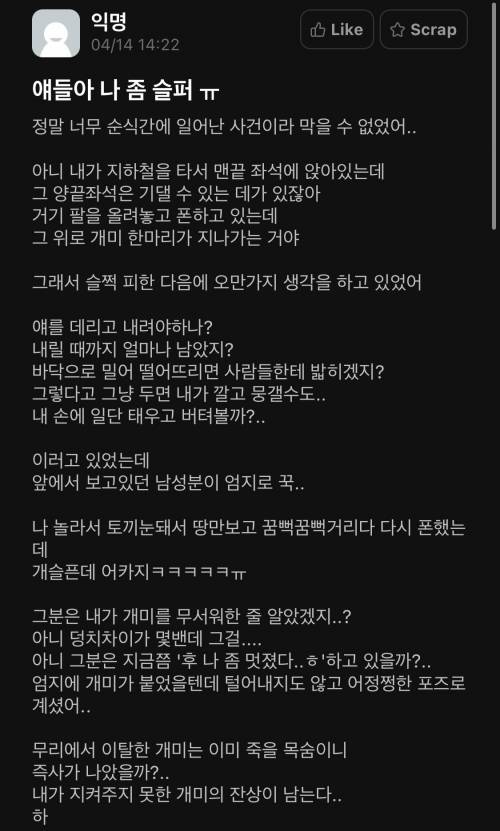 개미에 연민을 느낀 쓰니.jpg