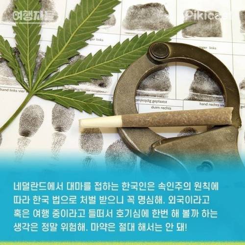 [스압] 네덜란드 문화충격.jpg