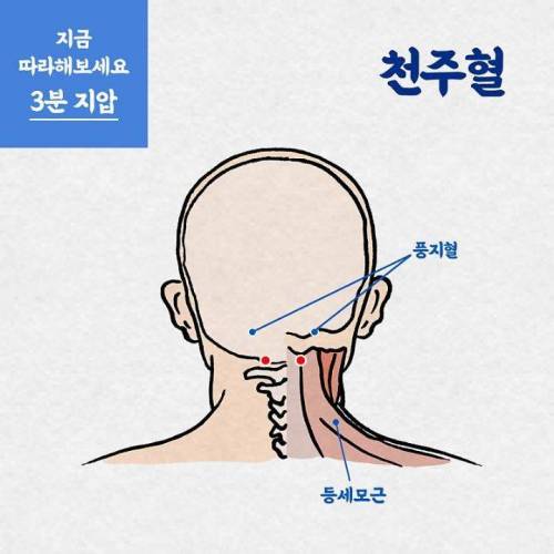 식곤증 날려줄 지압법 3가지