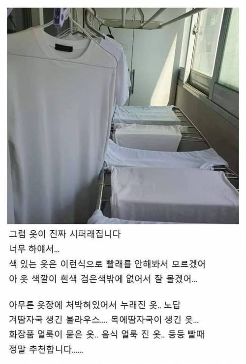 흰 옷 하얗다 못해 시퍼렇게 빠는 꿀팁