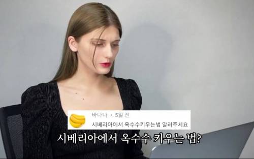 소련여자가 말하는 시베리아에서 옥수수 키우는 법