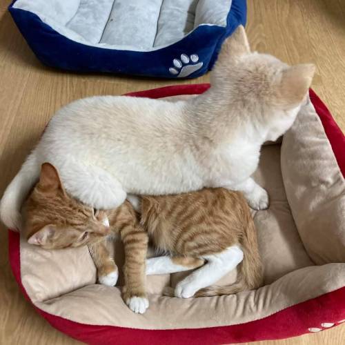 [스압] 죽마고우.jpg