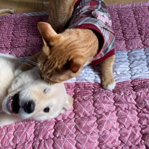 [스압] 죽마고우.jpg
