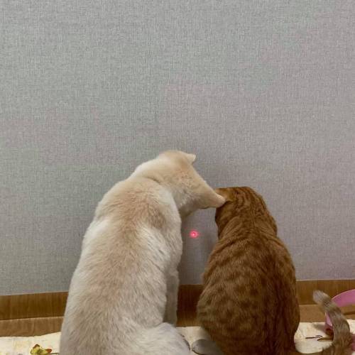 [스압] 죽마고우.jpg
