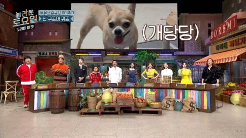 [스압] 희극인들 기 죽이는 다현.jpg