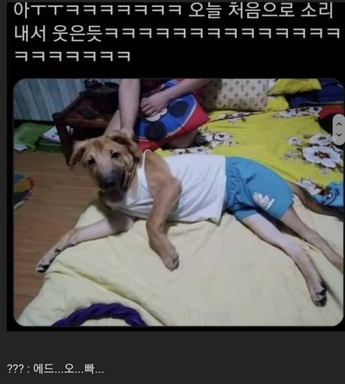 아빠가 우리집 개한테 내 옷 입혔어.jpg