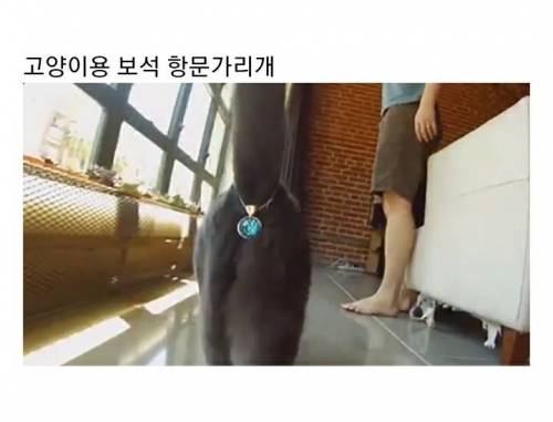 [스압] 해외에서 뽑은 "존재해선 안될 물건"