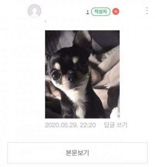 중고나라 구매 조건.jpg