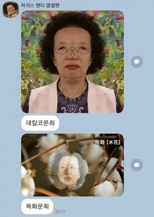 [스압] 문희를 헷깔리는 짤.jpg