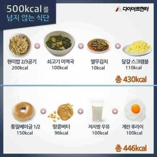 500칼로리를 넘지 않는다는 식단.jpg