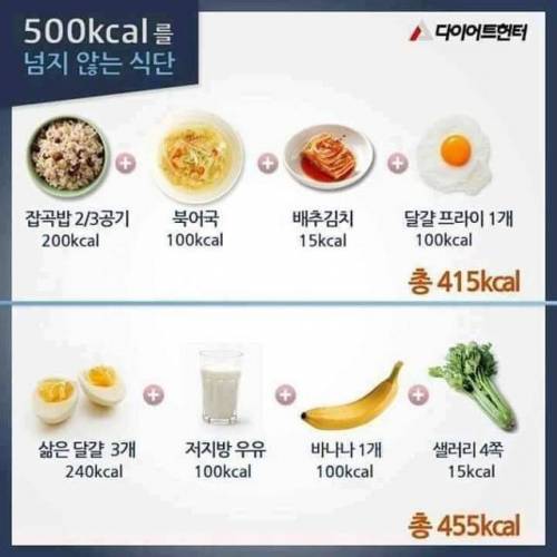 500칼로리를 넘지 않는다는 식단.jpg