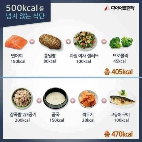 500칼로리를 넘지 않는다는 식단.jpg