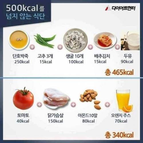 500칼로리를 넘지 않는다는 식단.jpg